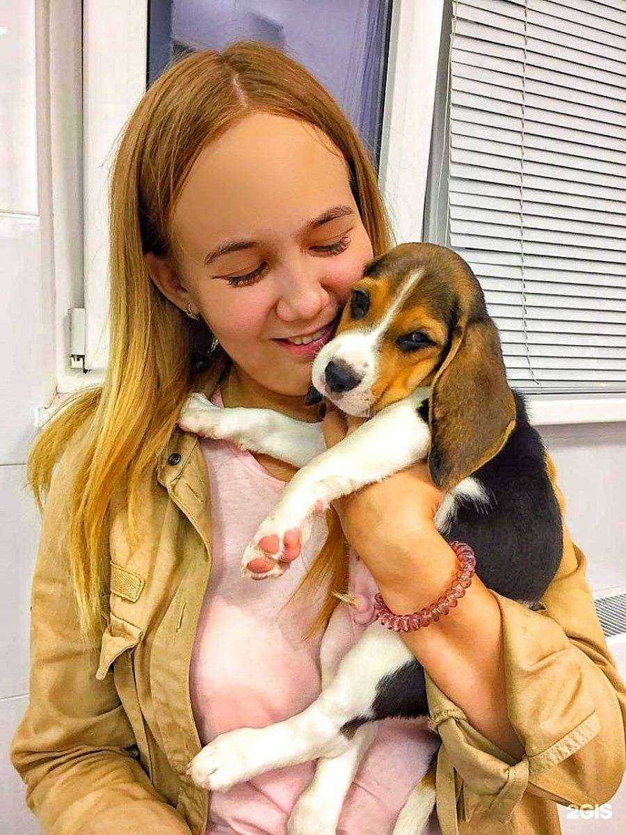 Отзывы на компанию Аист-вет в Коммунарке c фото