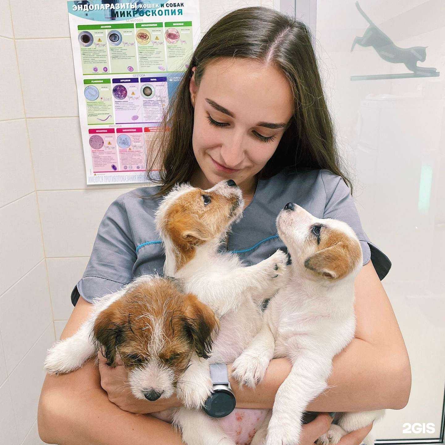 Отзывы на компанию МирВет в г. Казань c фото