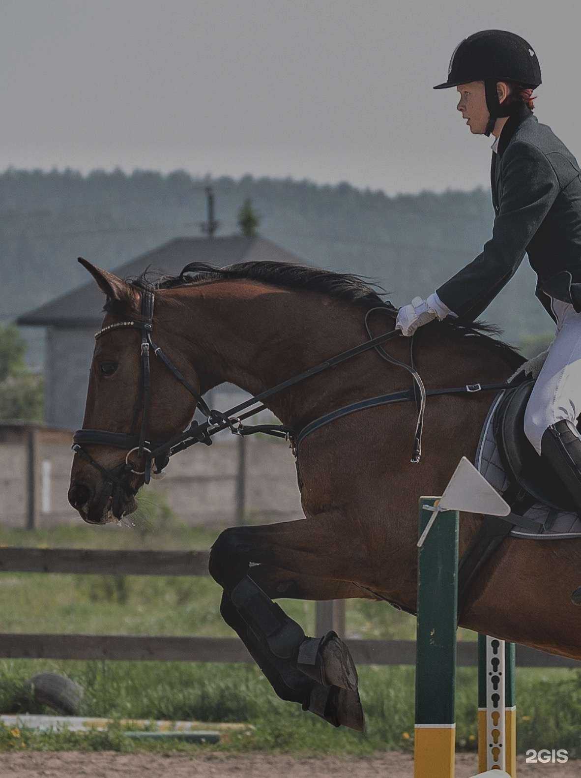 Отзывы на компанию КСК Байкальский в г. Иркутск c фото