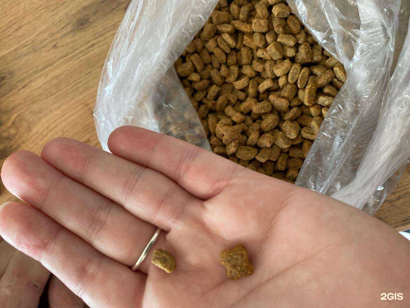 Отзывы на компанию Гарфилд в Салавате c фото