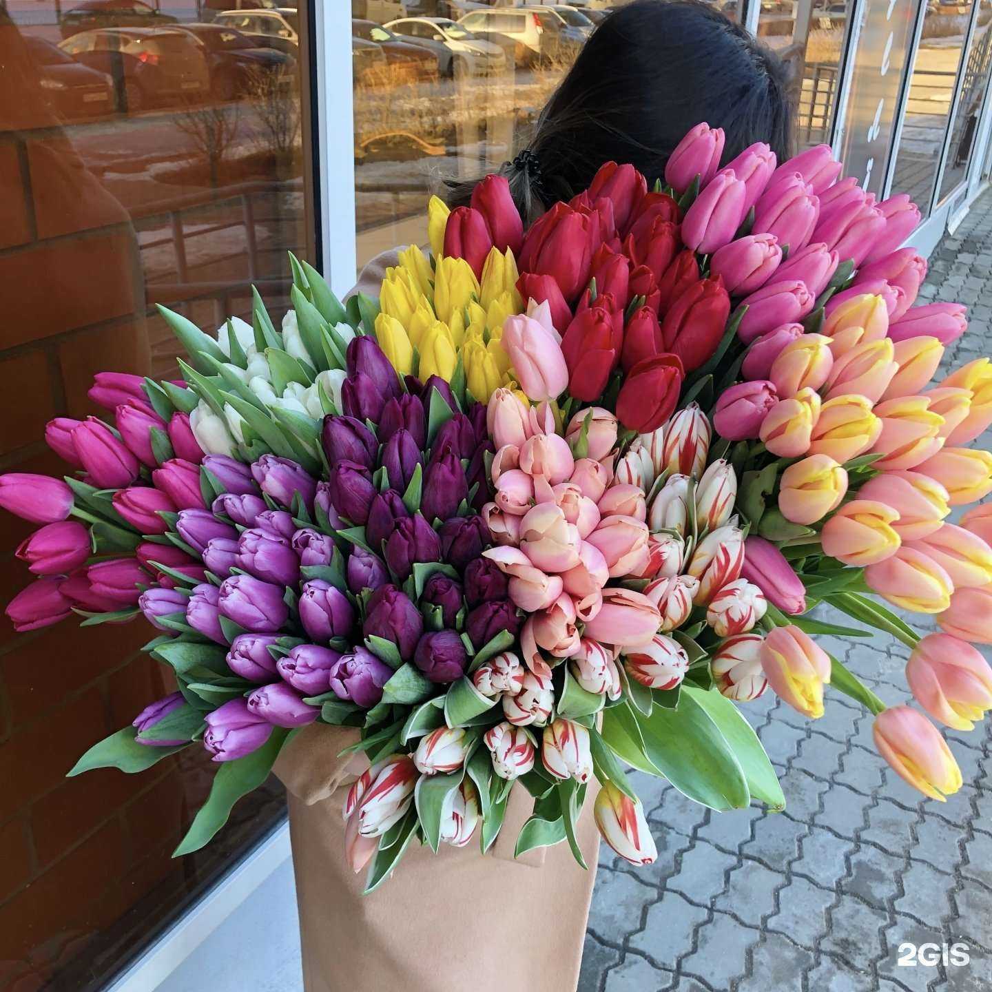 Отзывы на компанию Эвкалипт в Липецке c фото