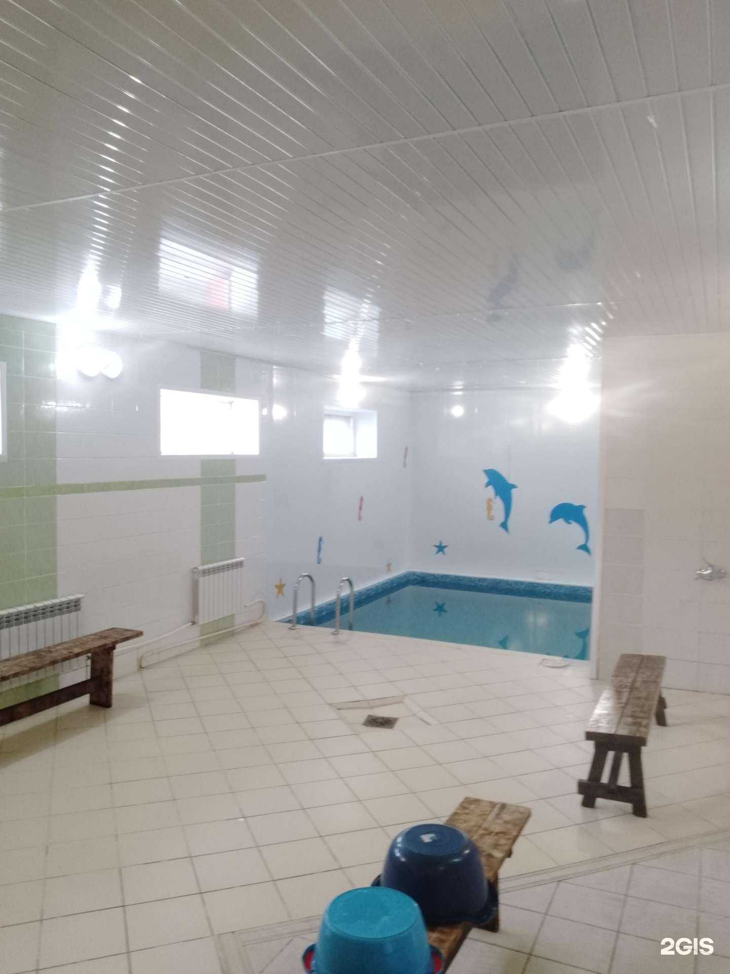 Отзывы на компанию Дельфин в г. Корсаков c фото