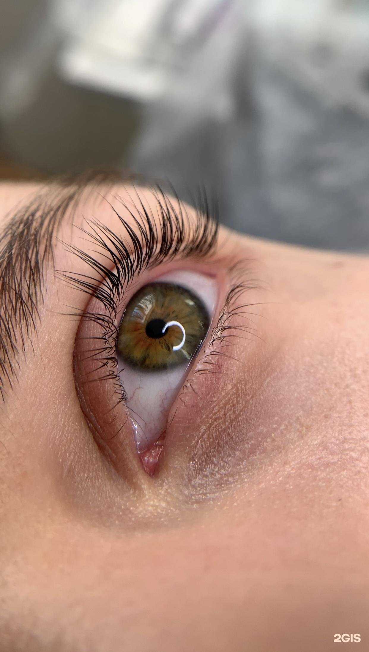 Отзывы на компанию Nude lash&brow в Сочи c фото