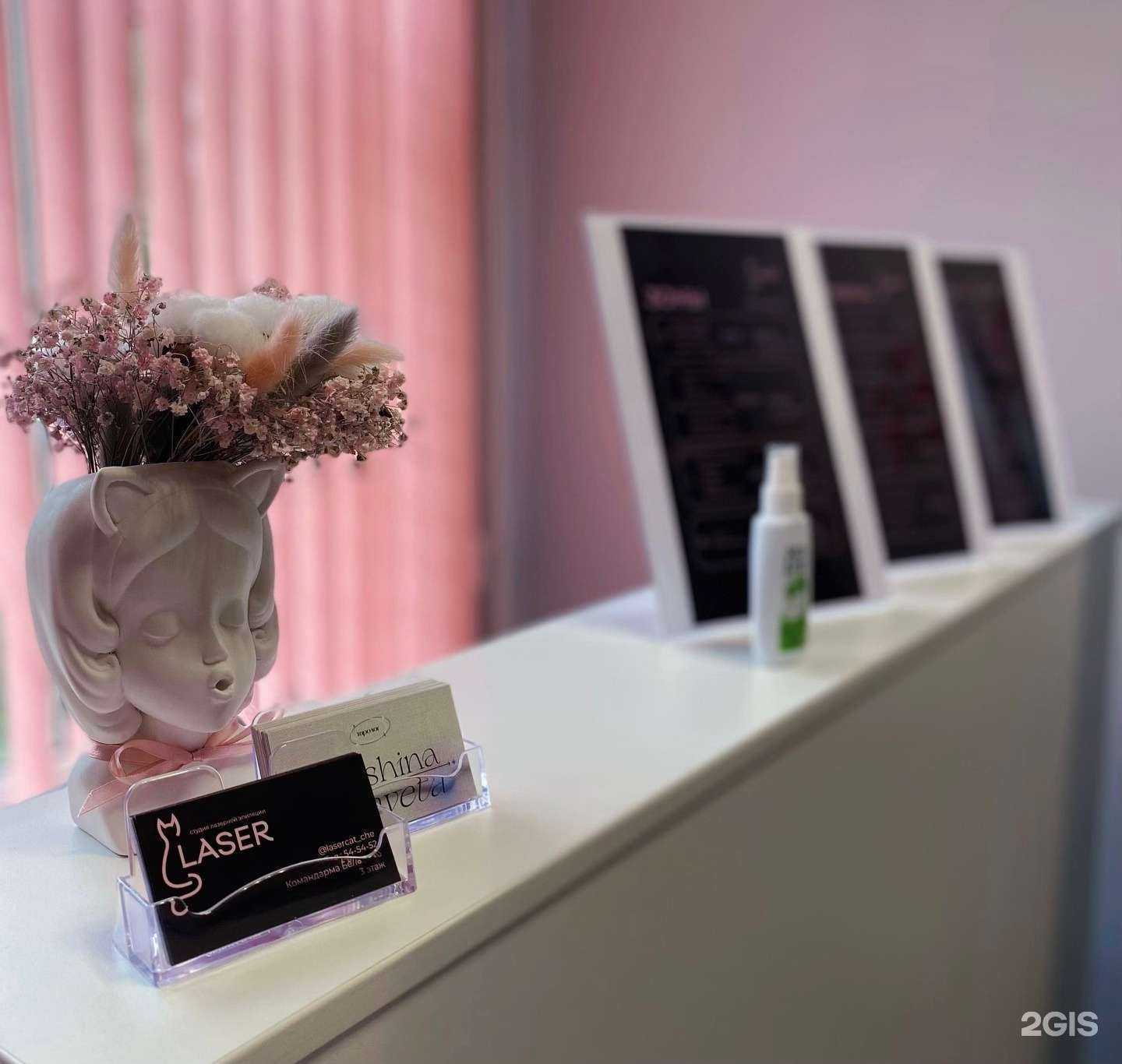 Отзывы на компанию Laser cat в Череповце c фото