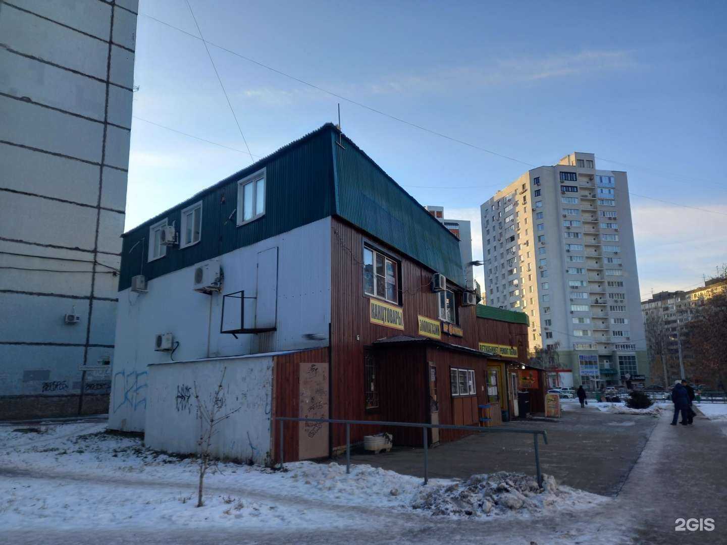 Отзывы на компанию Бусидоvet в Самаре c фото - фотография 2 из 2