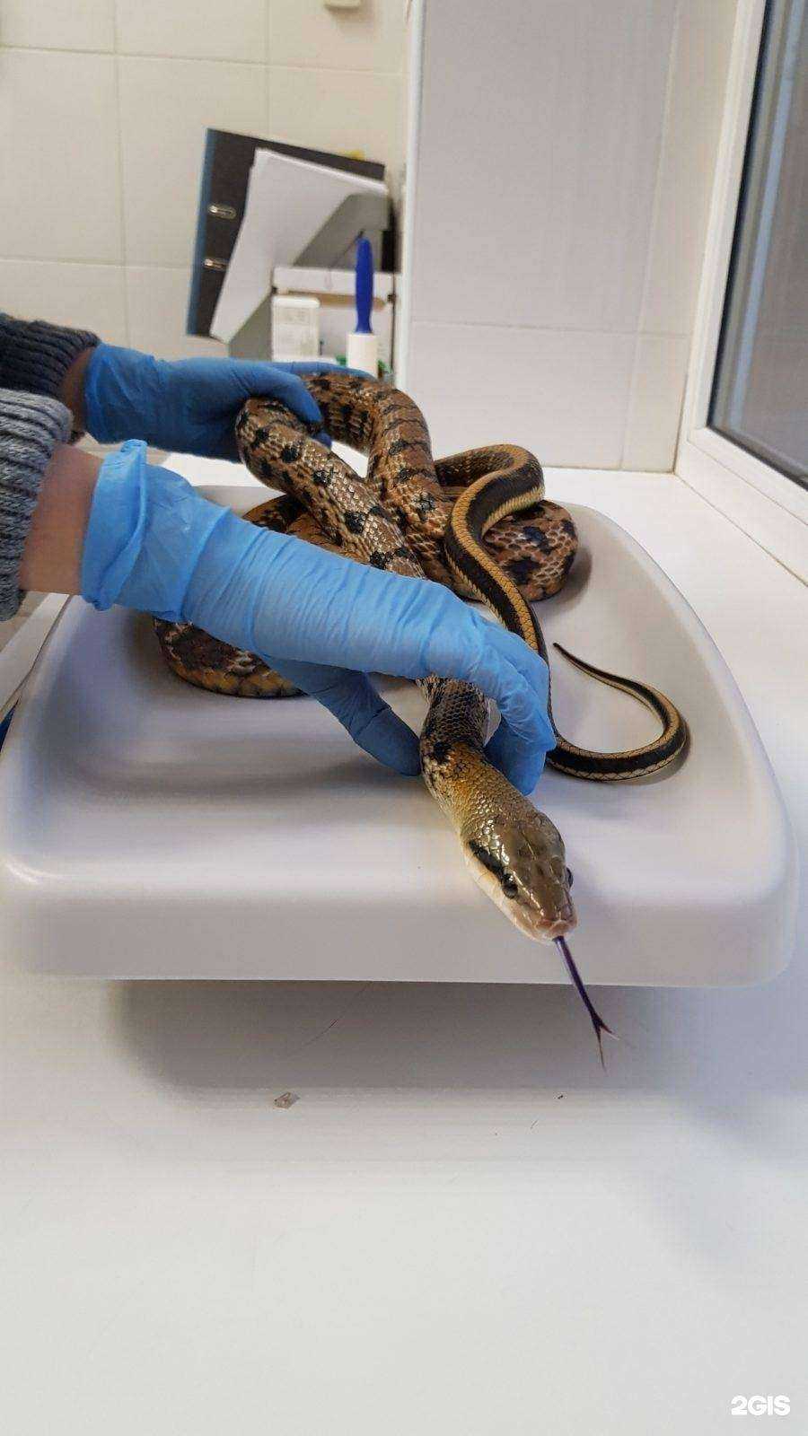 Отзывы на компанию Центр в г. Ростов-на-Дону c фото