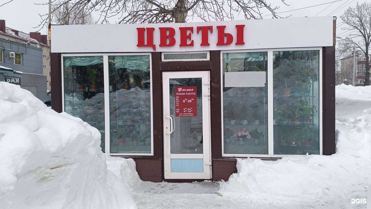 Отзывы на компанию Жасмин в г. Южно-Сахалинск c фото