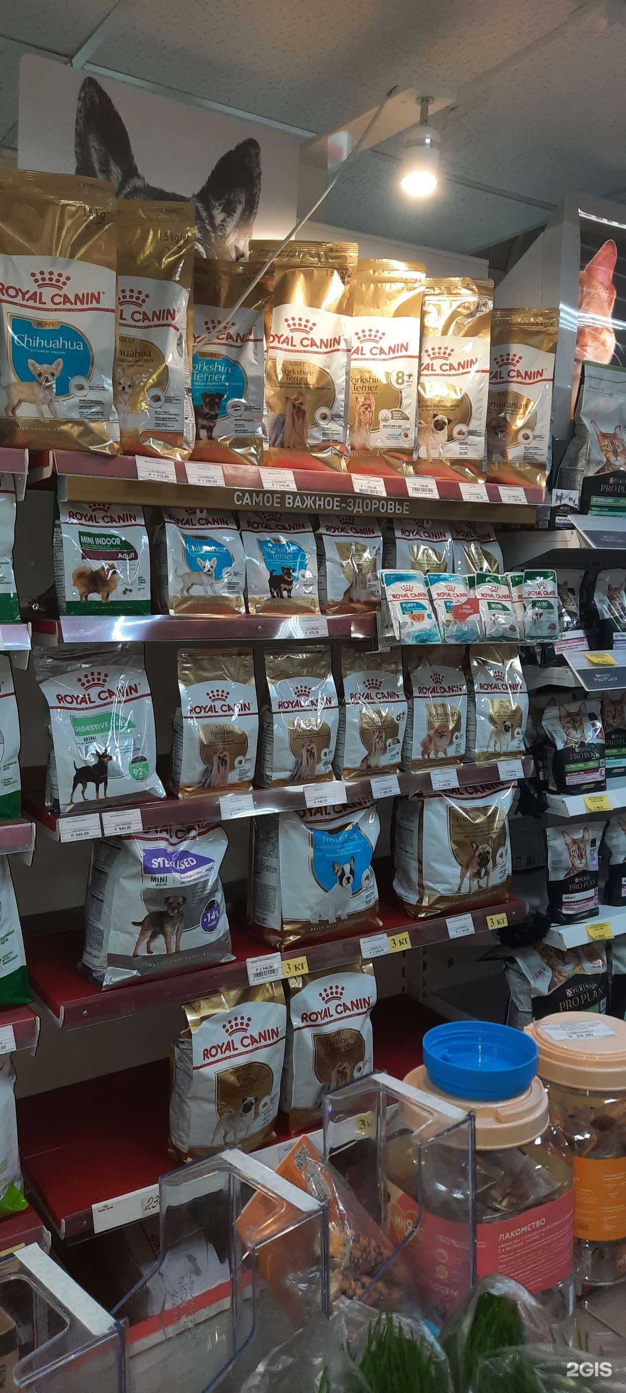 Отзывы на компанию Четыре лапки в г. Копейск c фото