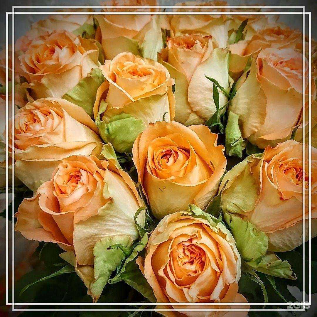 Отзывы на компанию Стиль интерьера в Коммунарке c фото