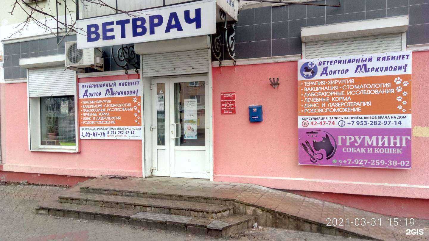 Отзывы на компанию Доктор Меркулович в Брянске c фото