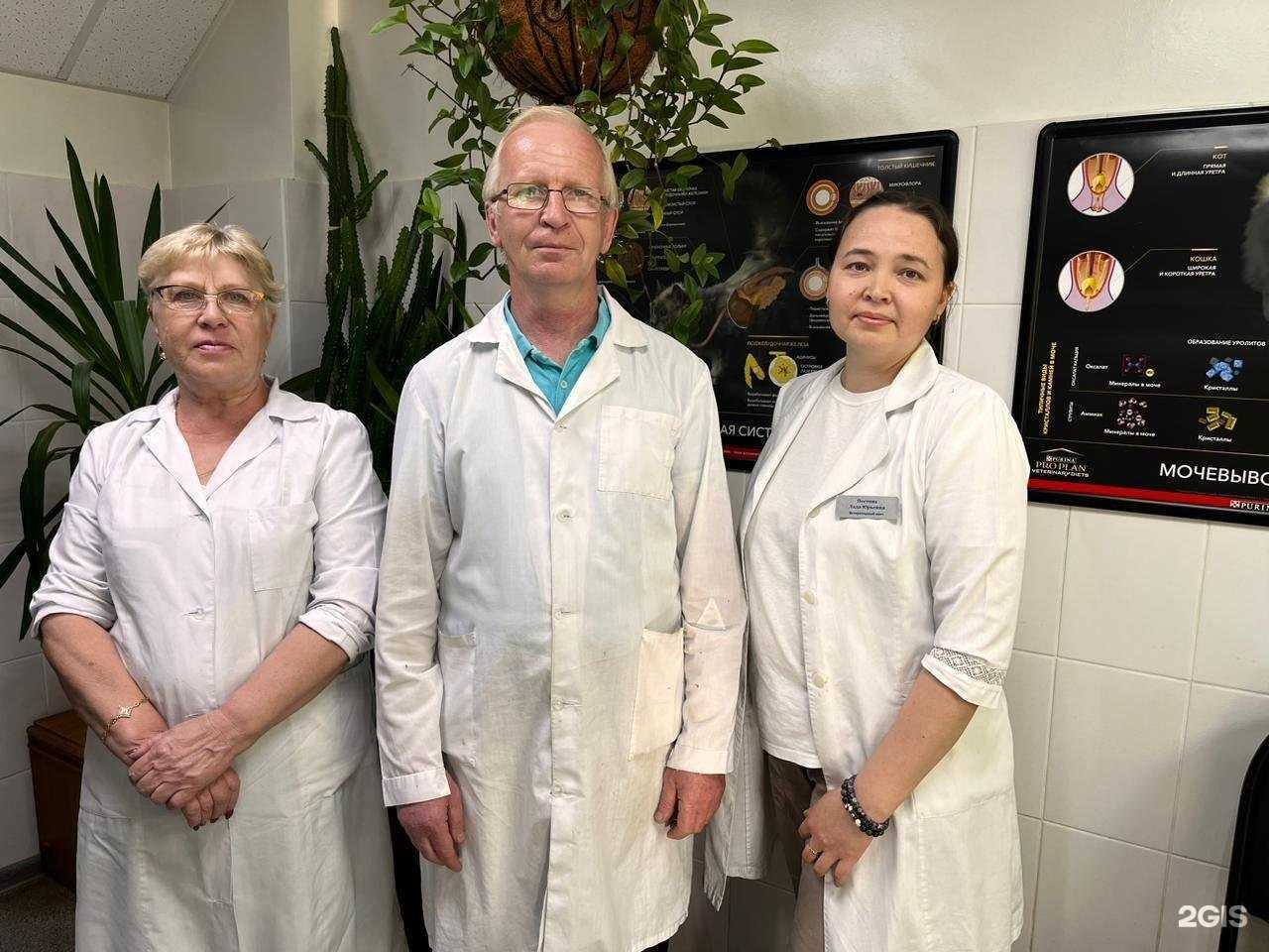 Отзывы на компанию Ветеринарная клиника в г. Киров c фото