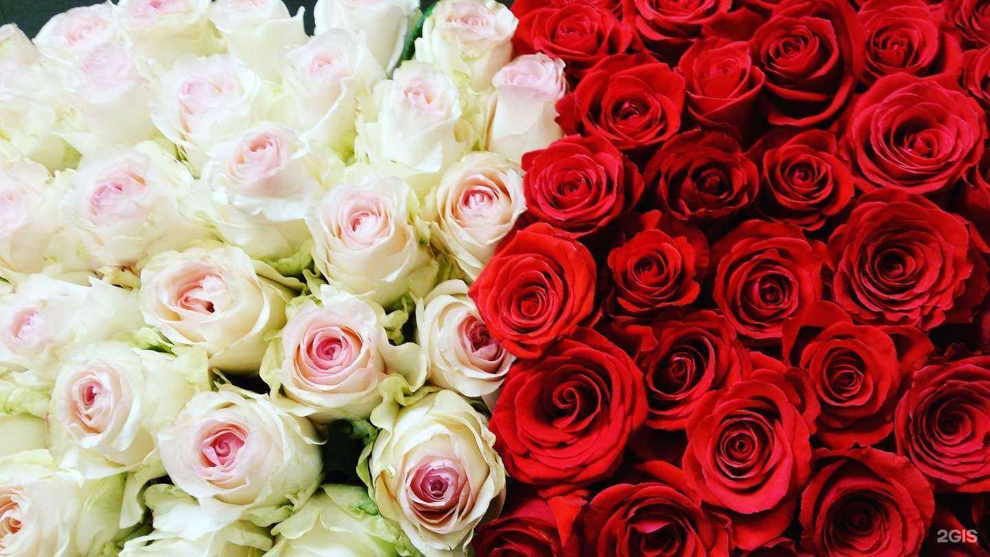 Отзывы на компанию Каталея в г. Екатеринбург c фото