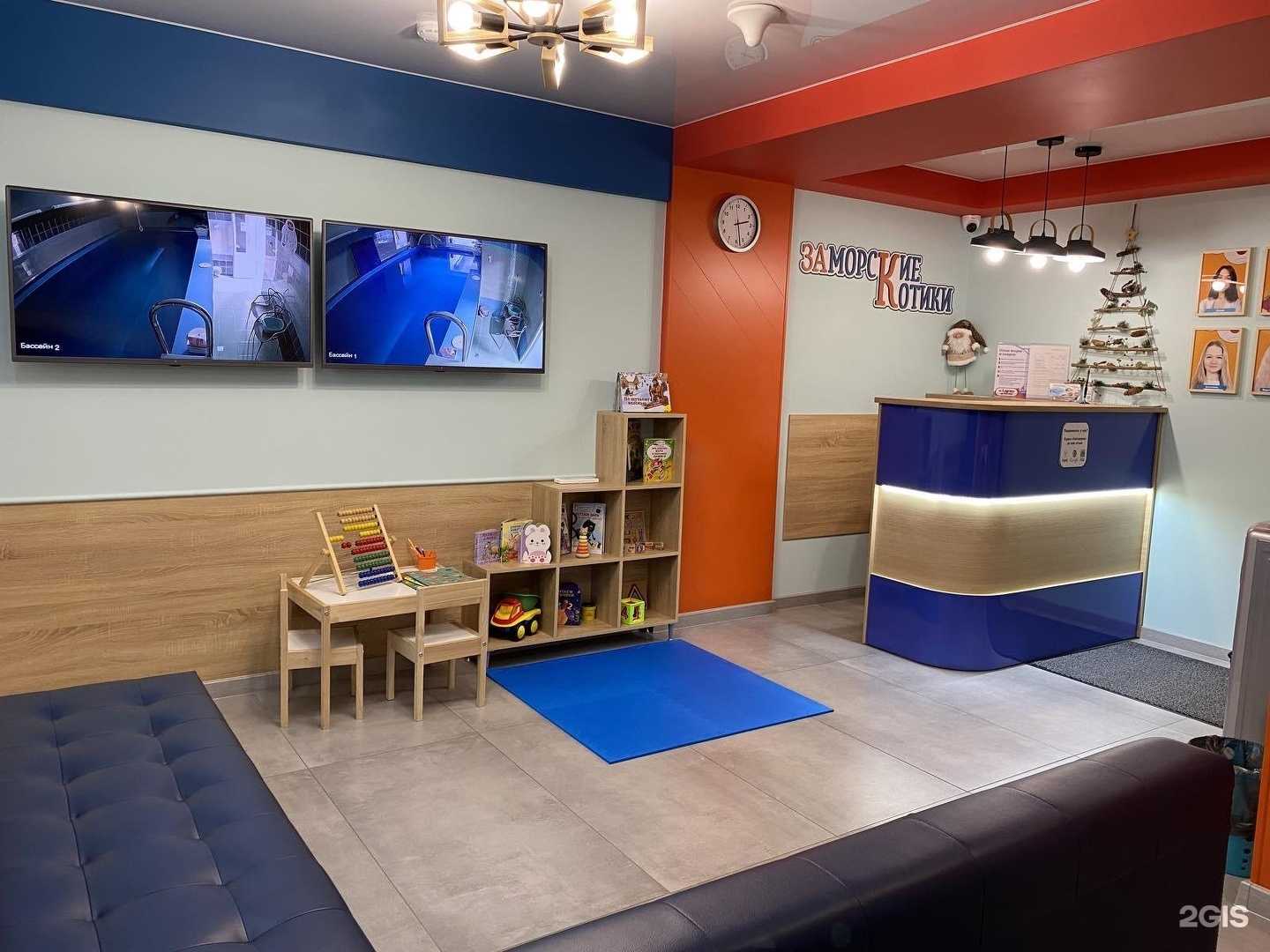 Отзывы на компанию Заморские котики в Самаре c фото