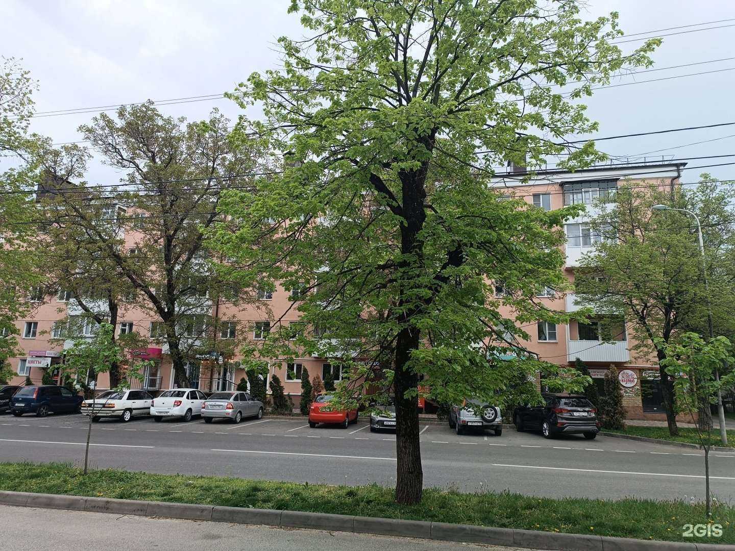 Отзывы на компанию ЦПО в Ставрополе c фото - фотография 2 из 2