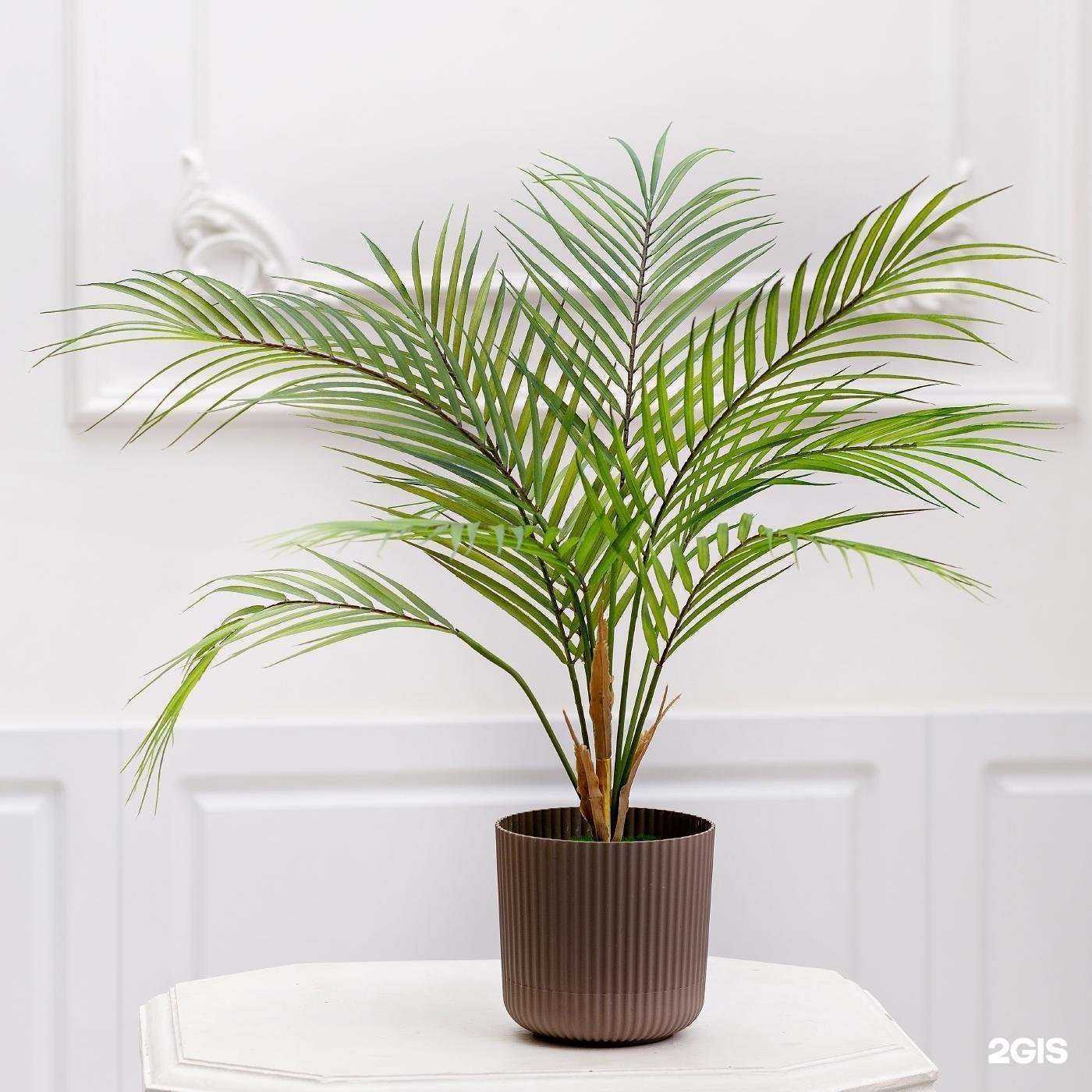 Отзывы на компанию Alfagreen в Уфе c фото