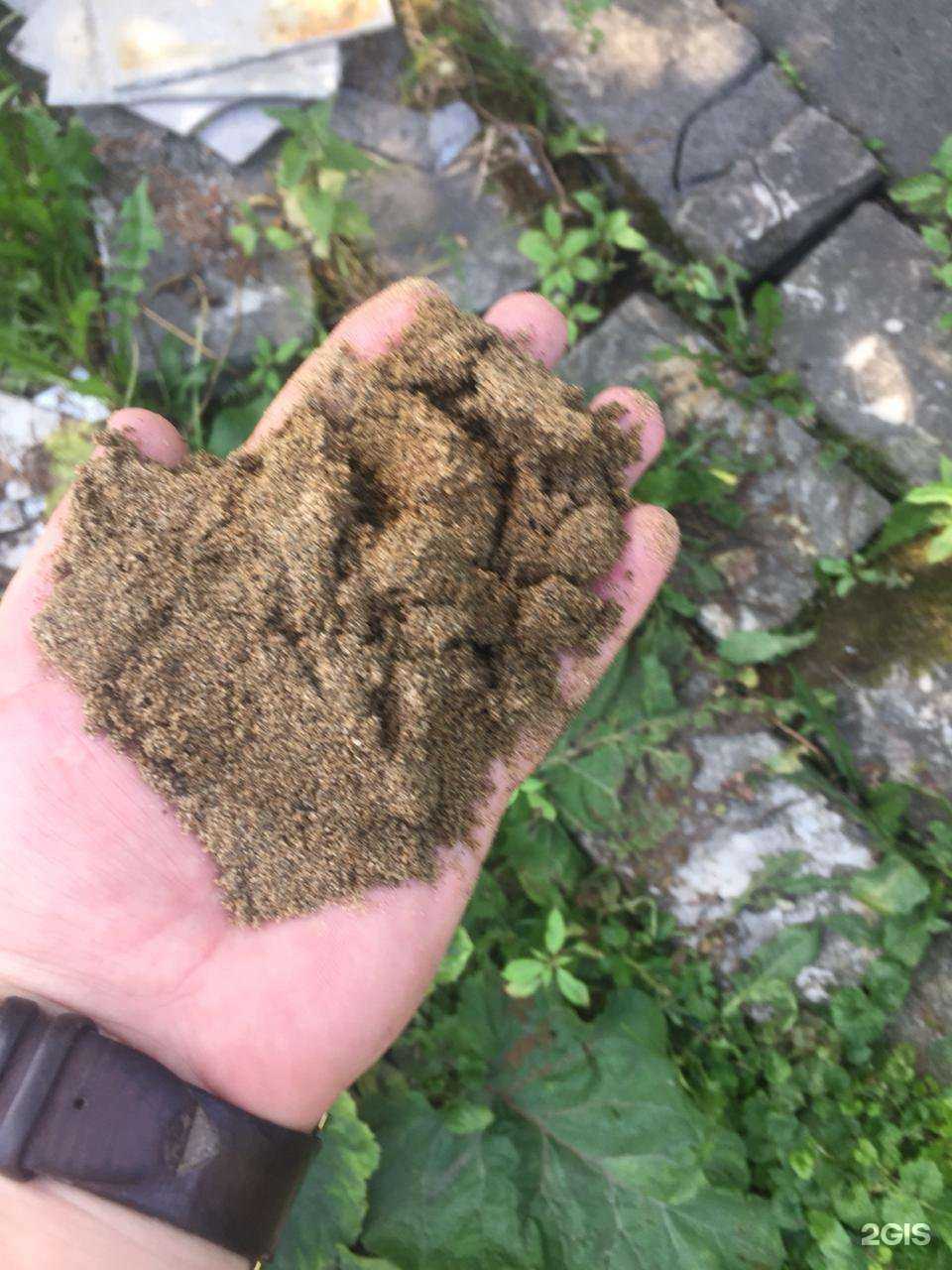 Отзывы на компанию Тех-Ас в Новокузнецке c фото