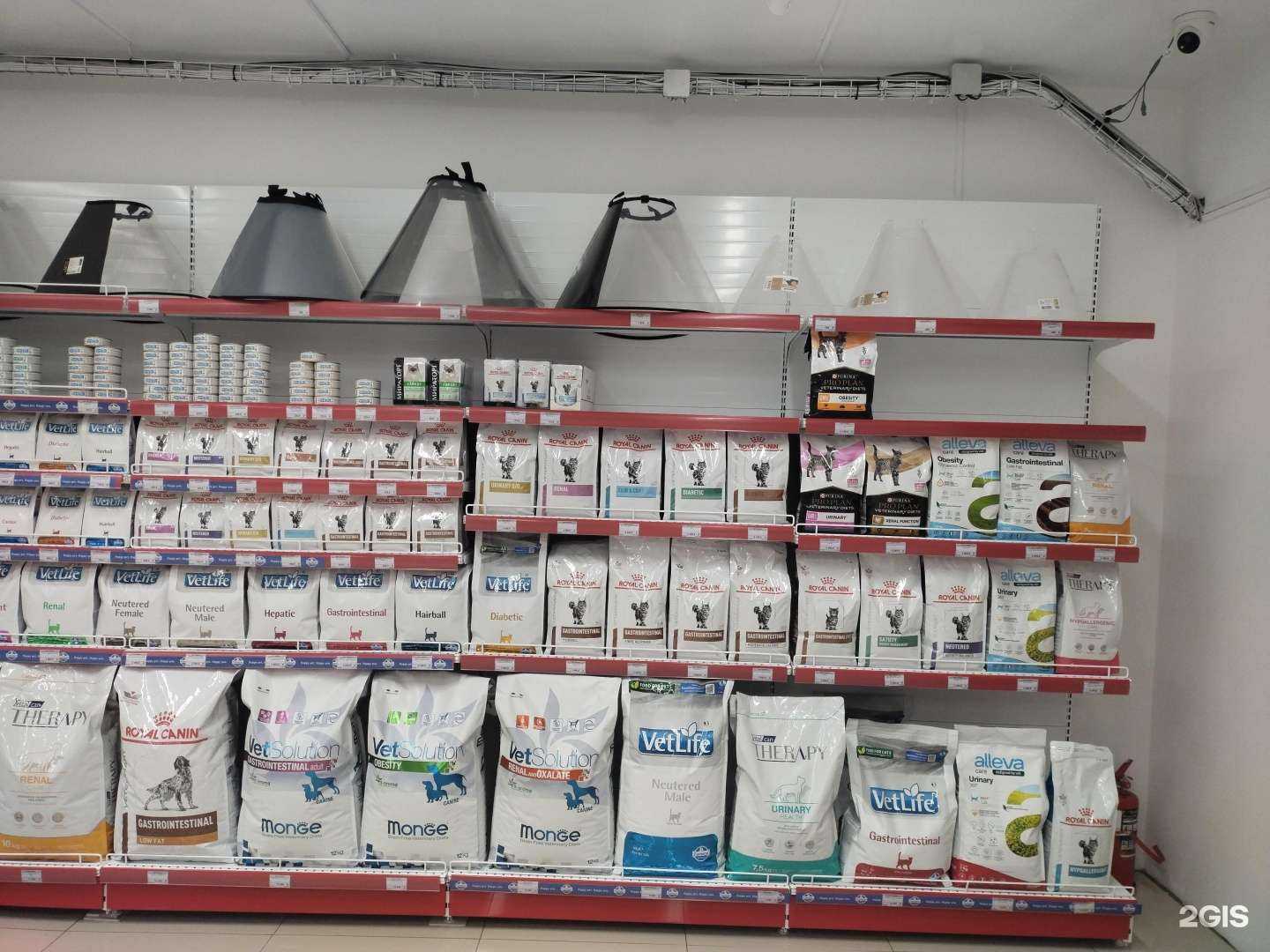 Отзывы на компанию Пушистый друг в г. Южно-Сахалинск c фото