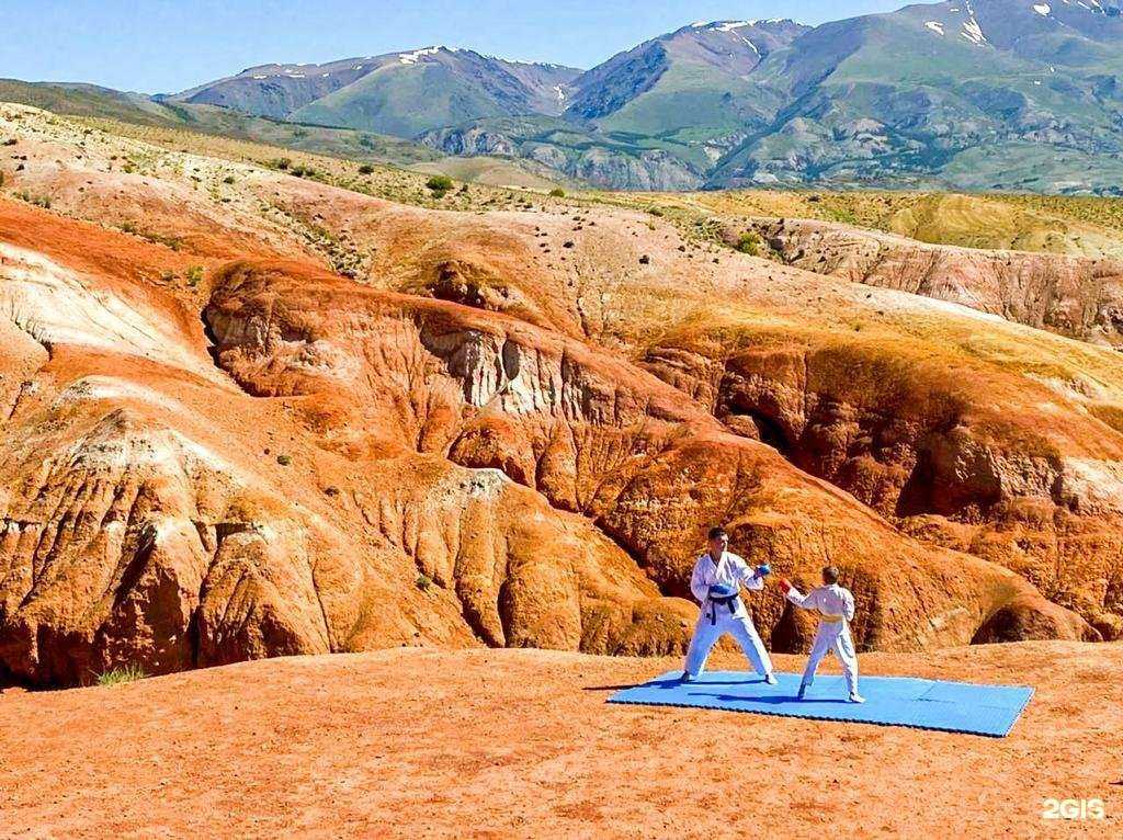 Отзывы на компанию Орион в Барнауле c фото