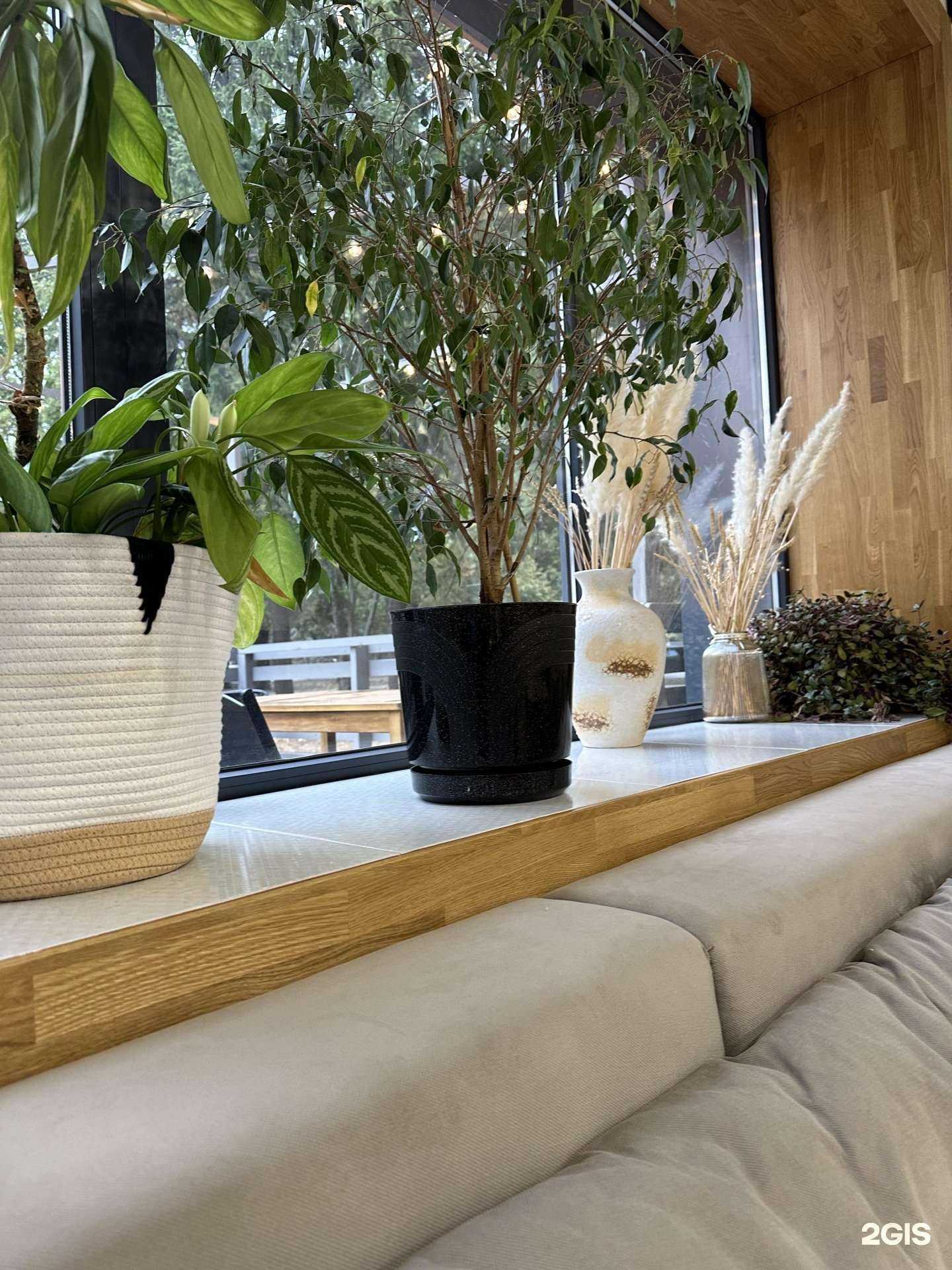 Отзывы на компанию Pro зёрна в Тамбове c фото