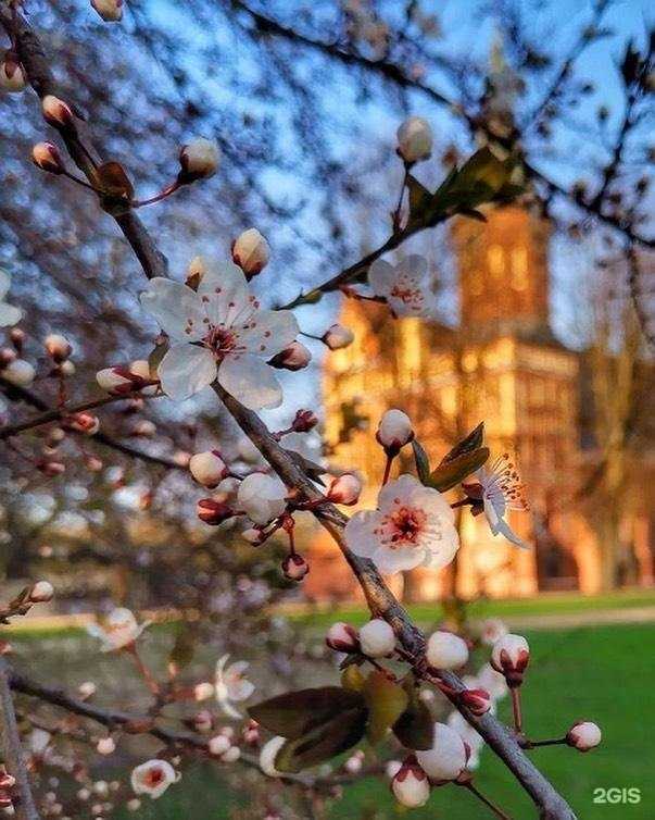 Отзывы на компанию Гид по Свету в г. Уфа c фото