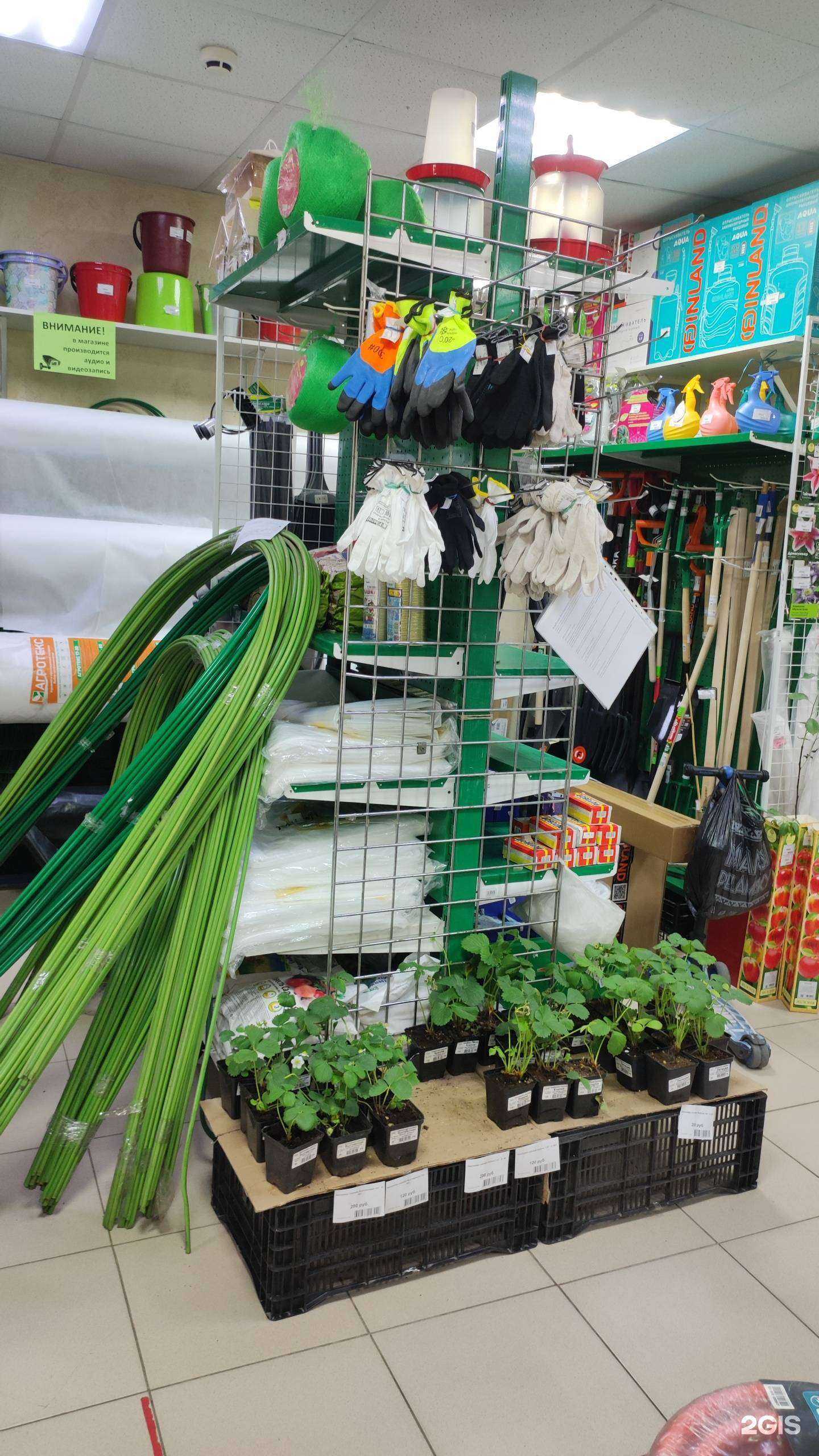 Отзывы на компанию Садовод в Тюмени c фото