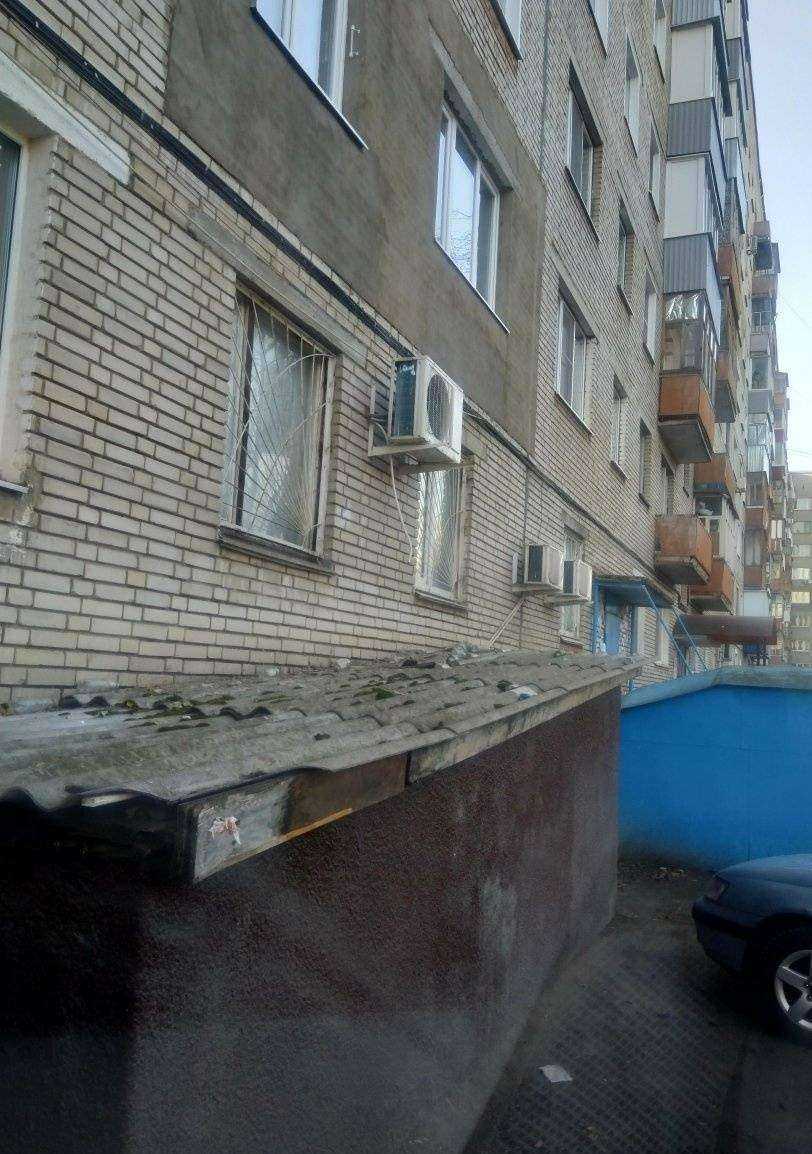 Отзывы на компанию Pet and cut в Пензе c фото - фотография 2 из 2