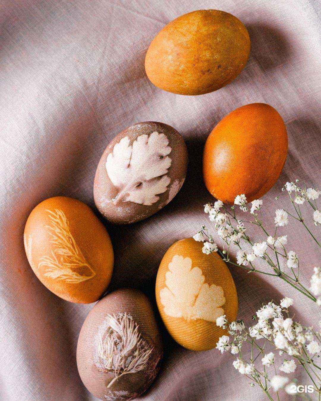 Отзывы на компанию Самокат в Туле c фото