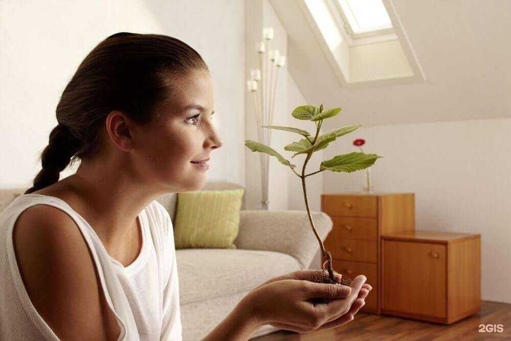 Отзывы на компанию Концепт в Щёлкове c фото