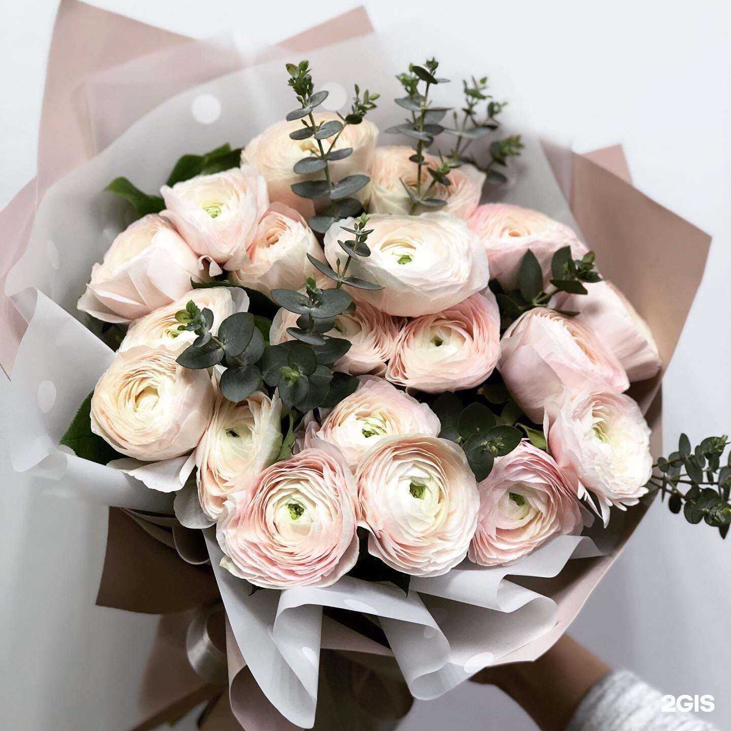 Отзывы на компанию Cactus в г. Кострома c фото