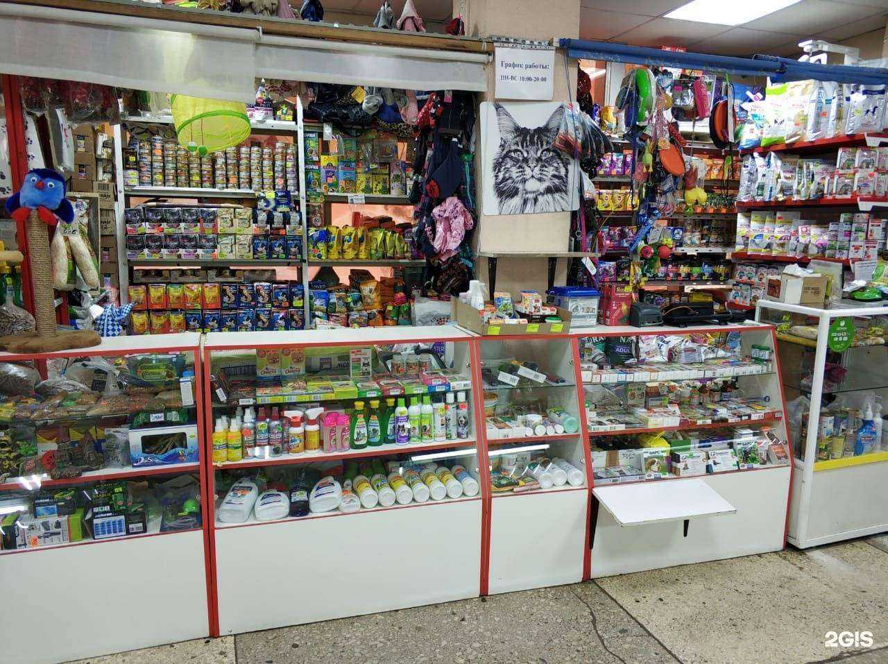 Отзывы на компанию Кот и Пёс в Салавате c фото