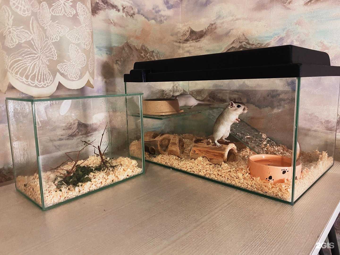 Отзывы на компанию Аквасалон в г. Казань c фото