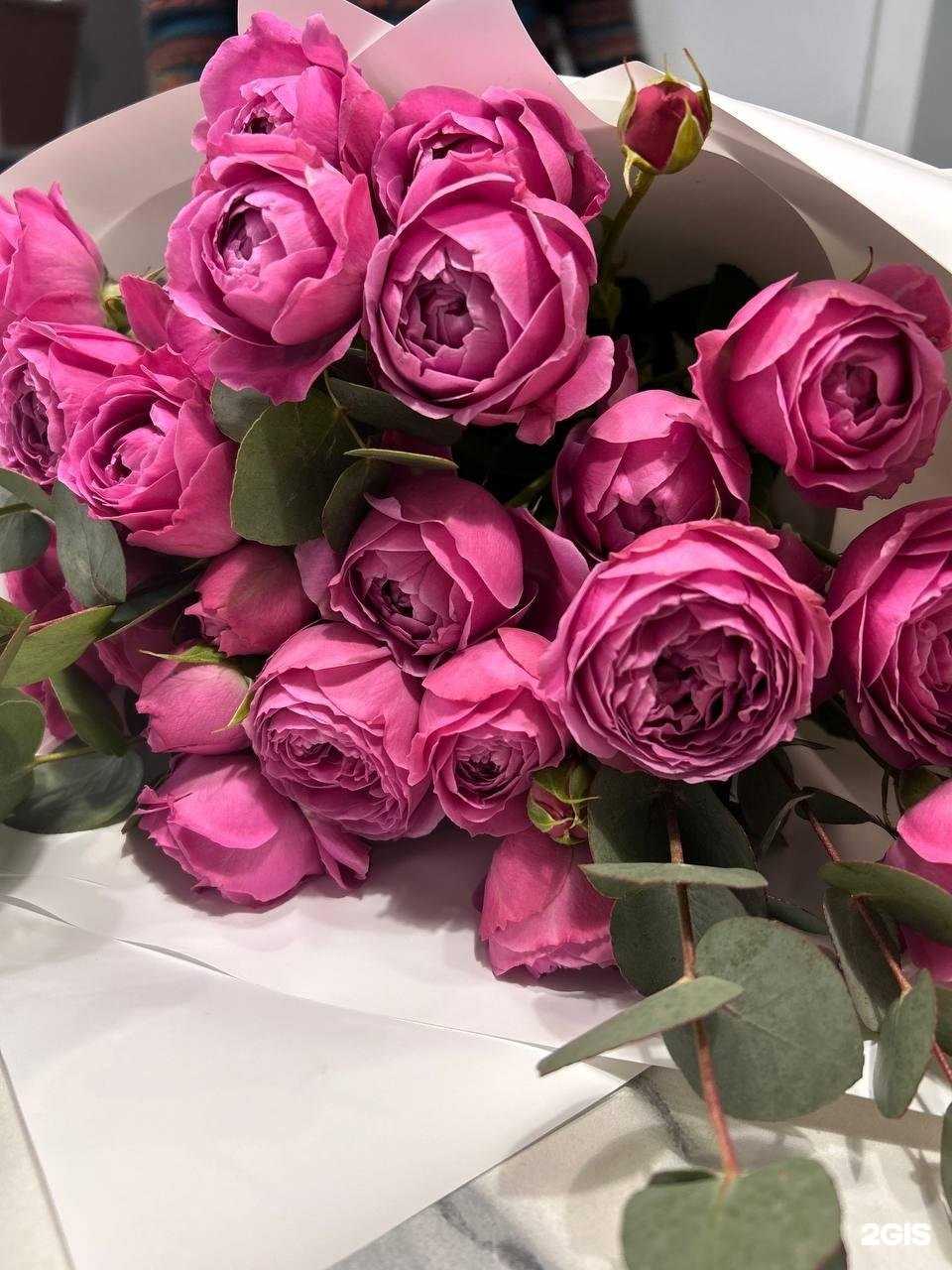 Отзывы на компанию Сити Флора в г. Ярославль c фото