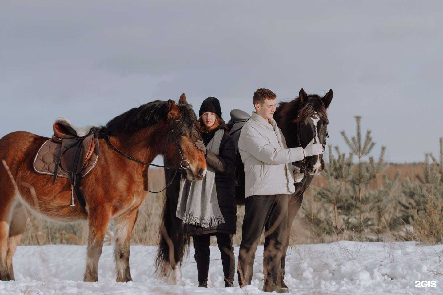 Отзывы на компанию Конный двор в Липецке c фото
