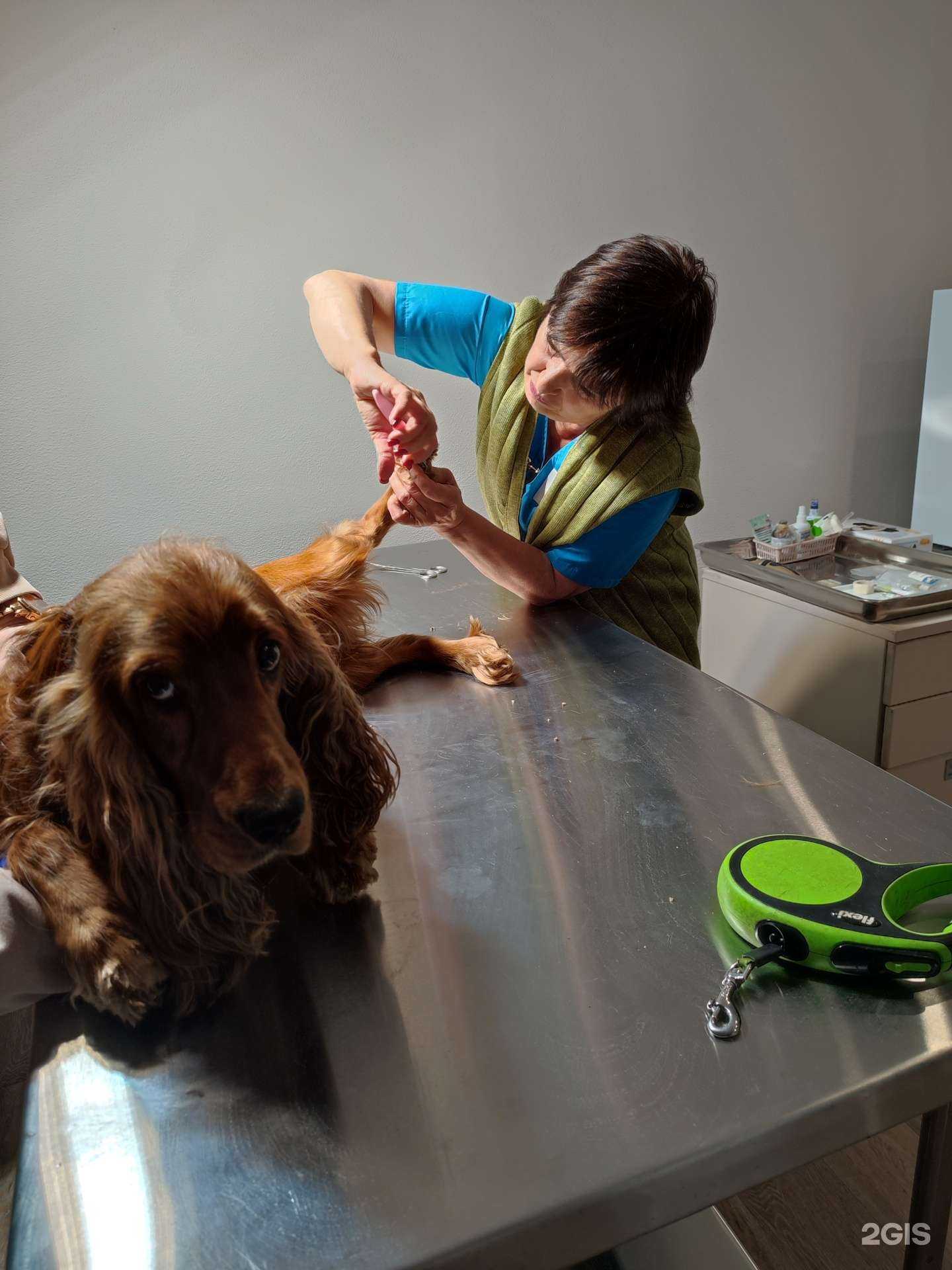 Отзывы на компанию Шанс в Воронеже c фото