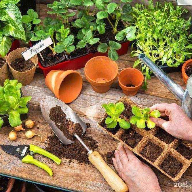 Отзывы на компанию Boxberry в г. Великий Новгород c фото