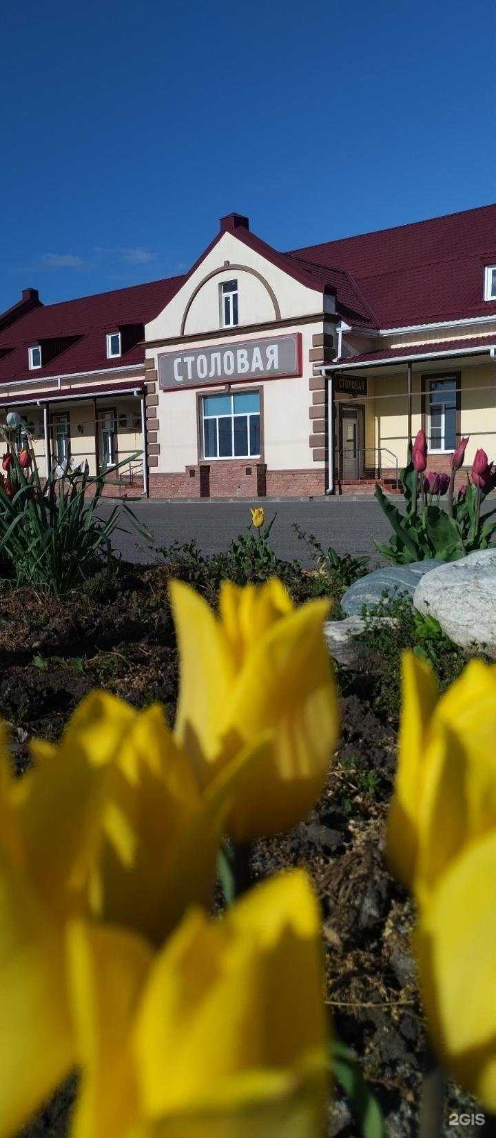 Отзывы на компанию Ставрополье в г. Ставрополь c фото