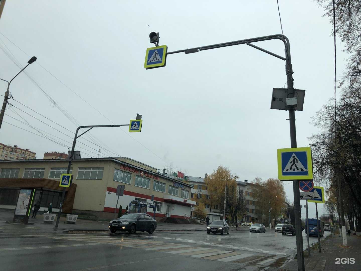 Отзывы на компанию Четыре лапы в Егорьевске c фото - фотография 2 из 2