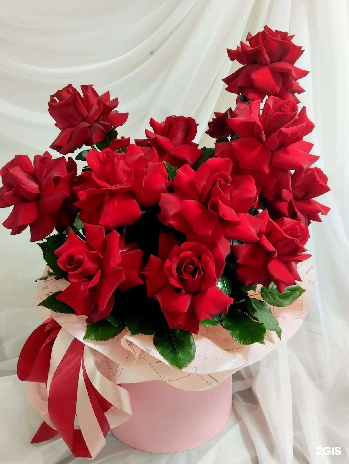 Отзывы на компанию 22 в г. Барнаул c фото