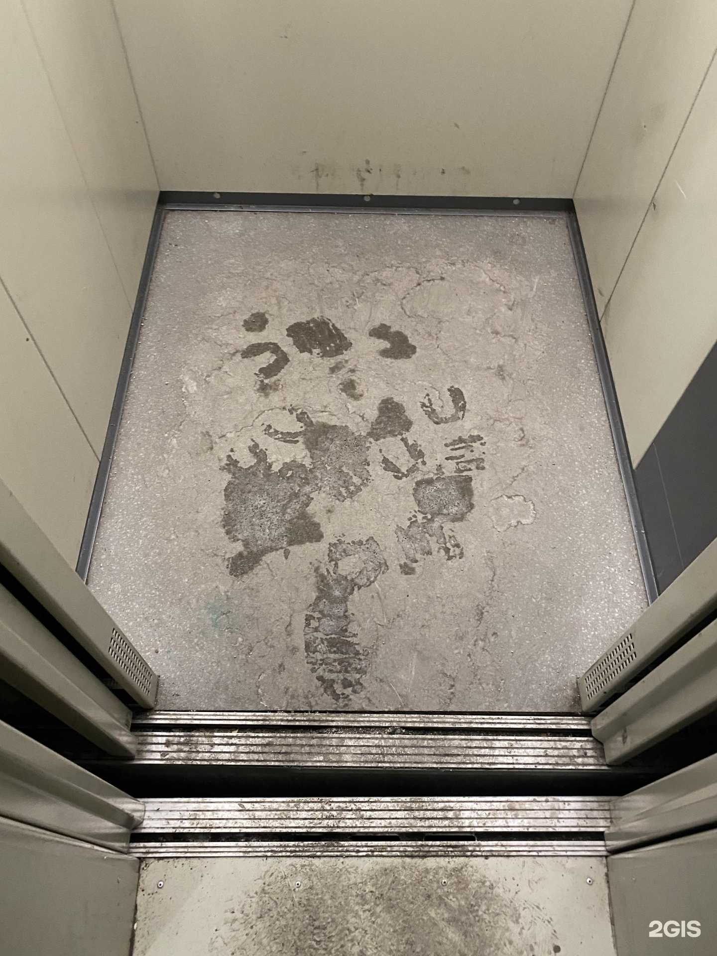 Отзывы на компанию С-порт в Новокузнецке c фото