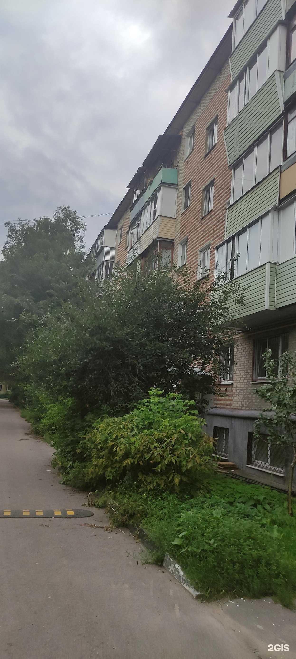 Отзывы на компанию Raviga в Подольске c фото - фотография 2 из 2