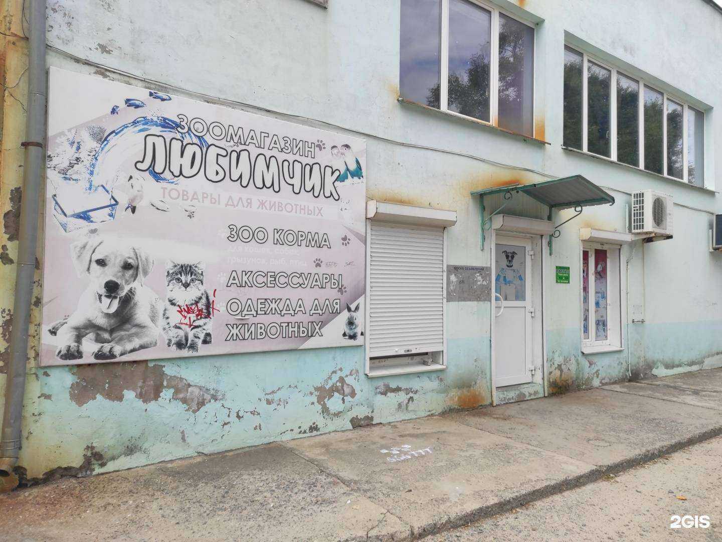 Отзывы на компанию Любимчик в г. Находка c фото