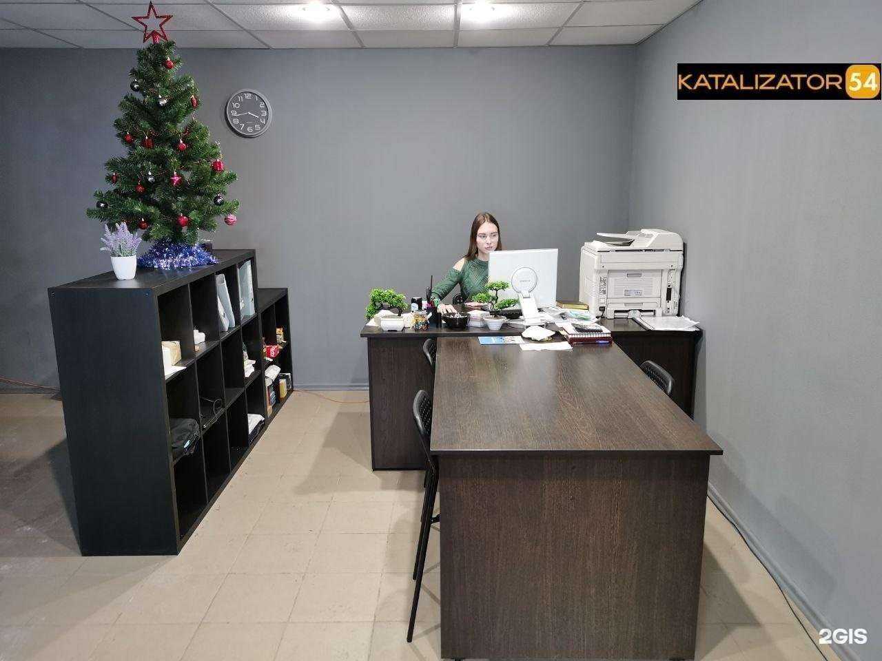 Отзывы на компанию Катализатор54 в Новосибирске c фото