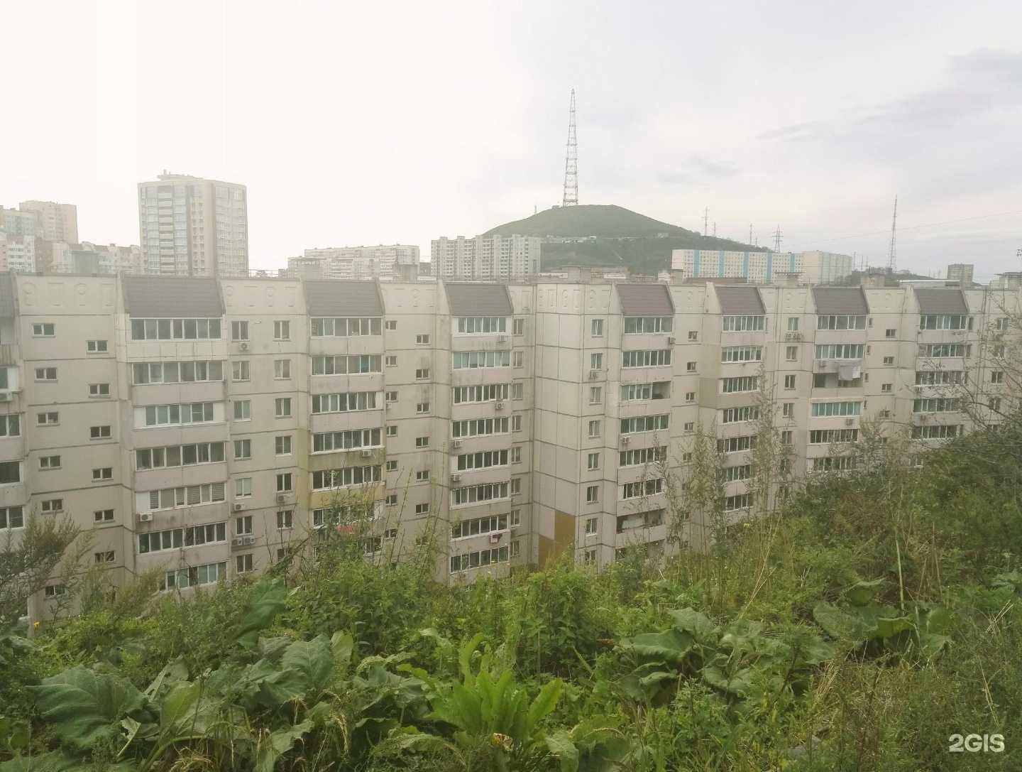 Отзывы на компанию Дальконсультант в г. Владивосток c фото