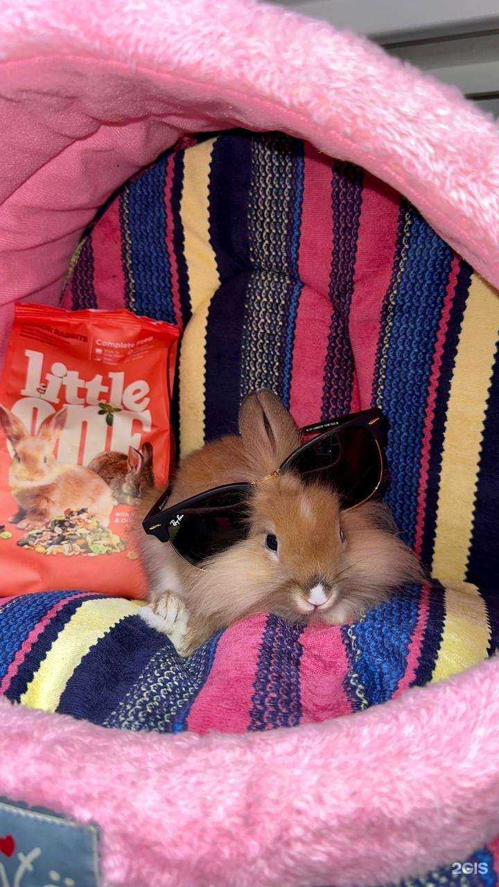 Отзывы на компанию Зоомир в г. Челябинск c фото