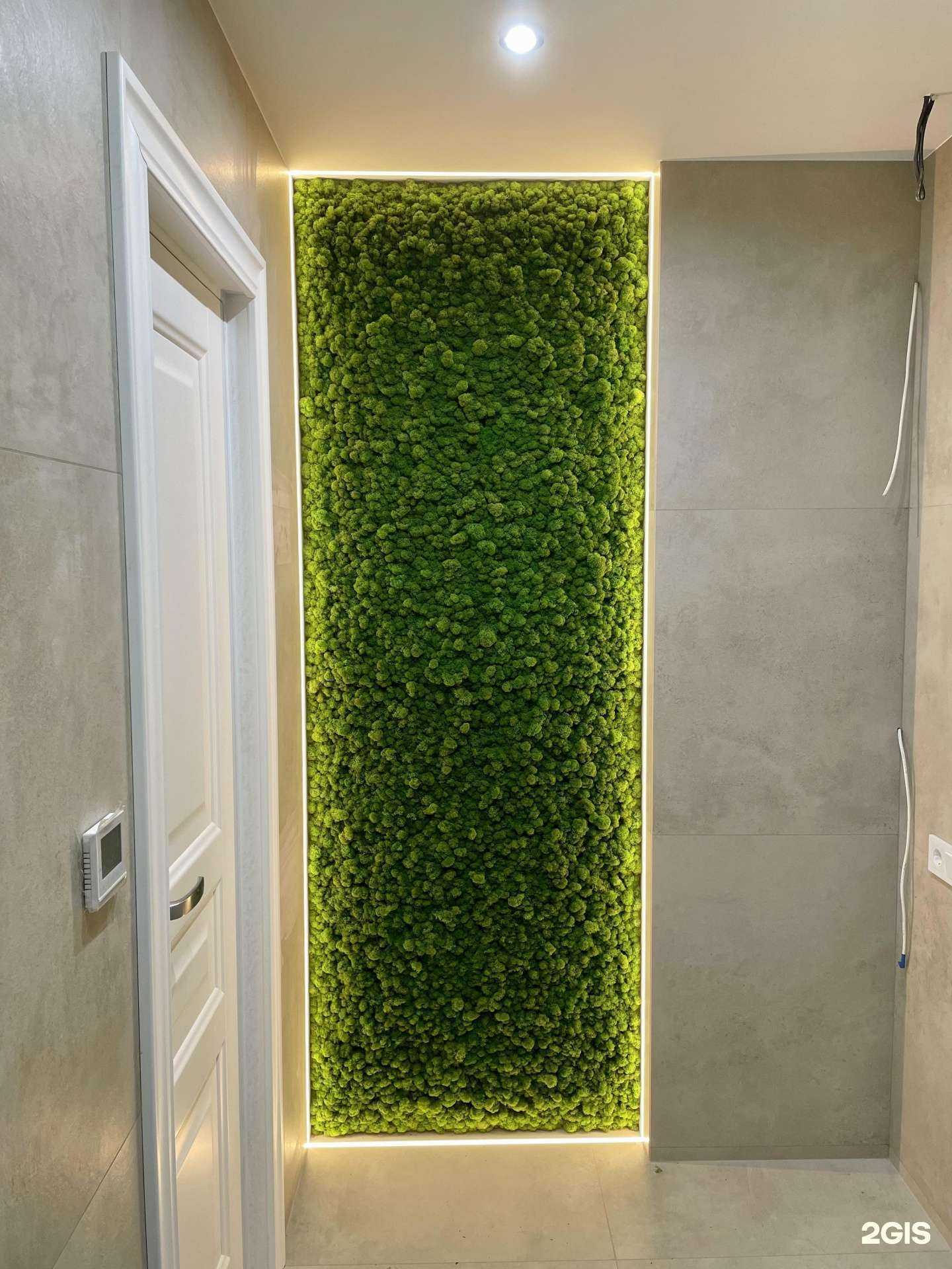 Отзывы на компанию Diamond Green в г. Краснодар c фото