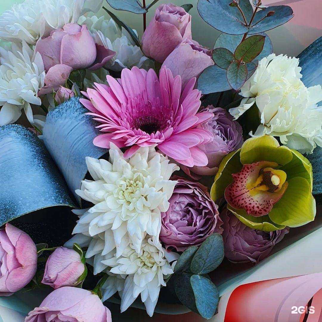 Отзывы на компанию Ассоль в г. Тамбов c фото