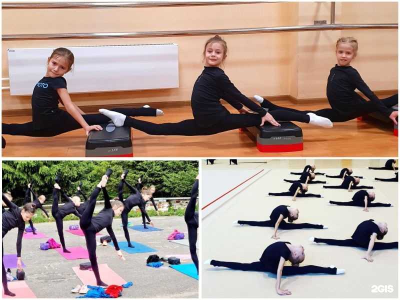 Отзывы на компанию Школа эстетической гимнастики в г. Вологда c фото