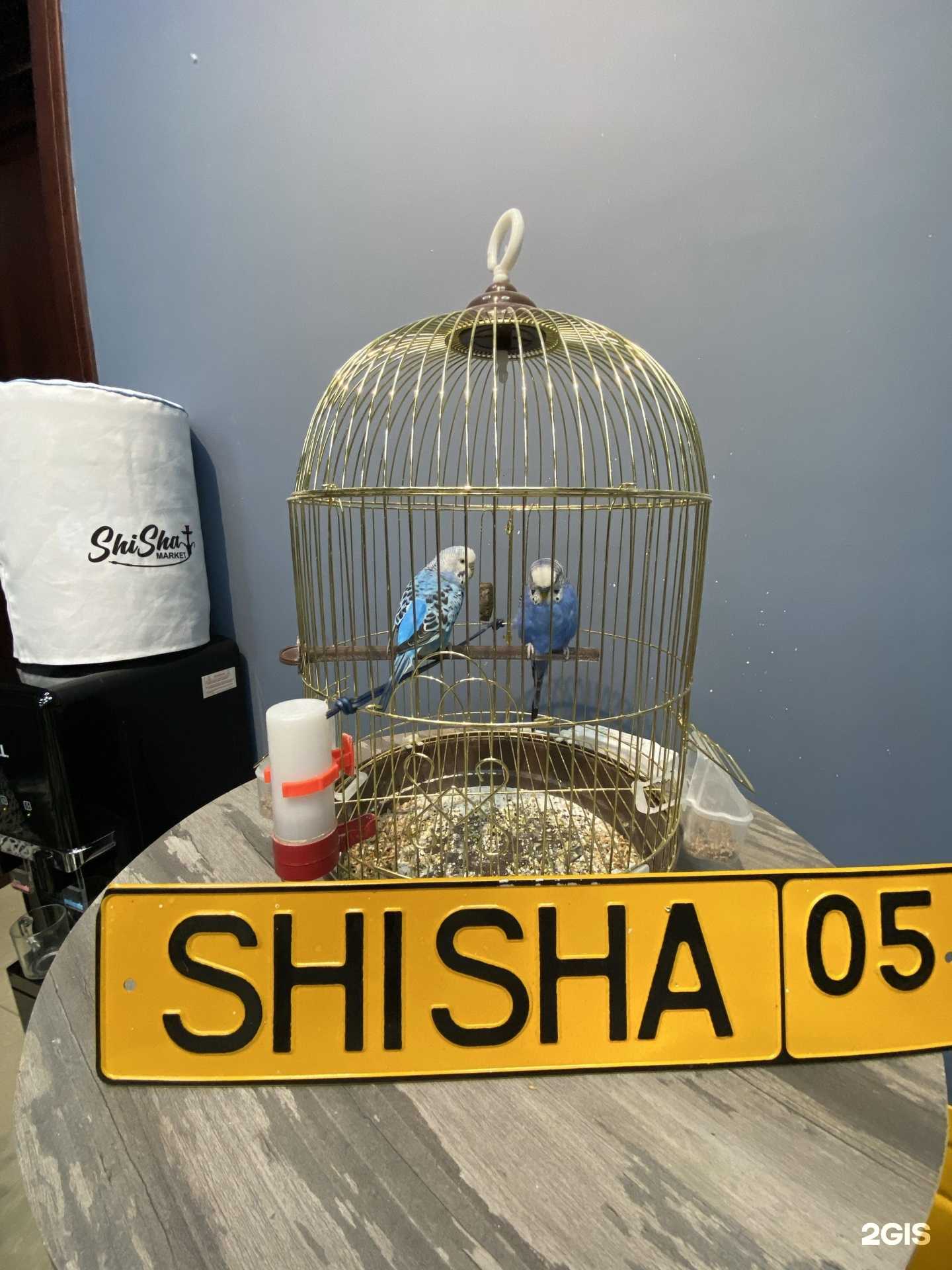 Отзывы на компанию ShiSha market в Махачкале c фото