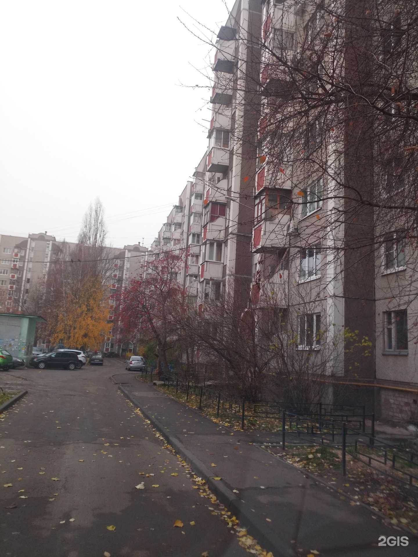 Отзывы на компанию GR Club в Воронеже c фото - фотография 2 из 2