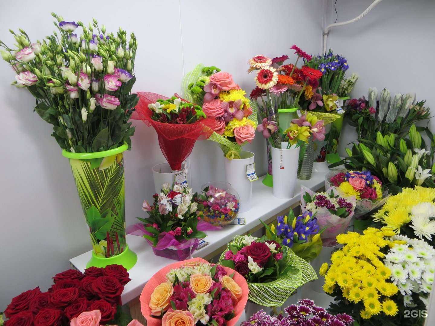 Отзывы на компанию Прекрасный сад в Фрязине c фото